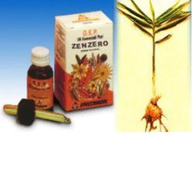 ZENZERO OLIO 10ML SPECCH