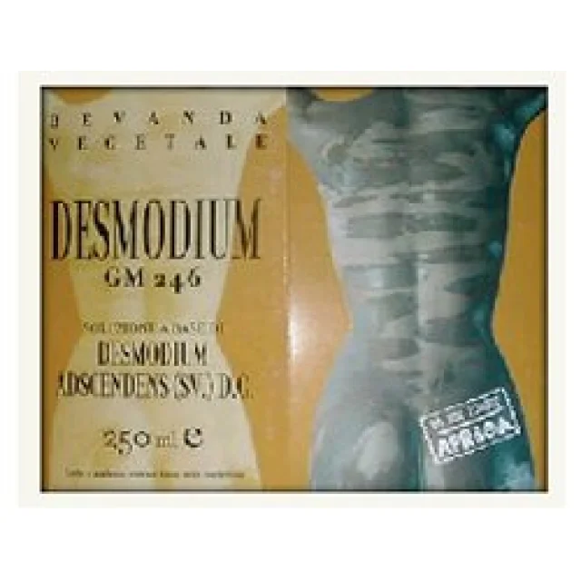 DESMODIUM GM246 250ML GTT