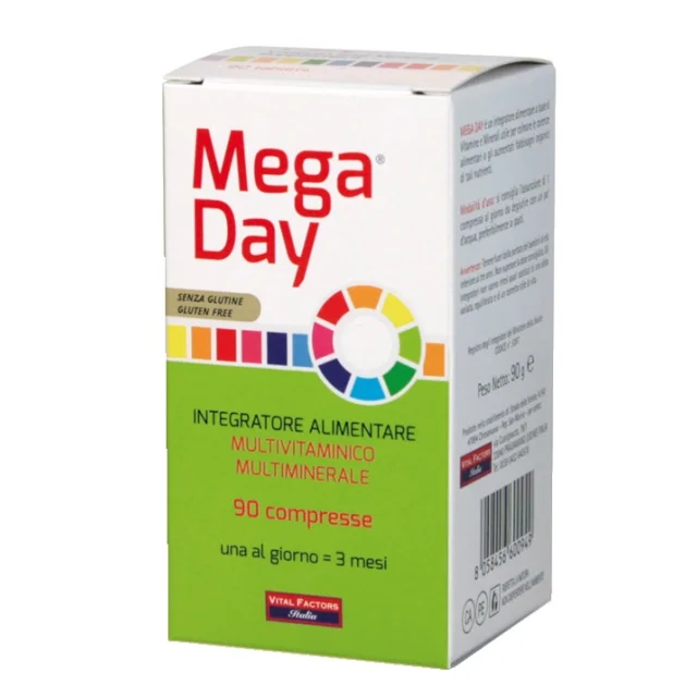 MEGA DAY INTEGRAT 90TAV