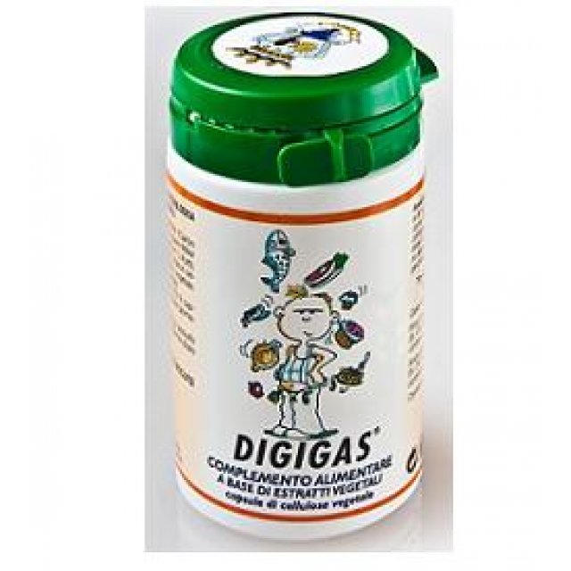 DIGIGAS INTEGRAT 60CPS 22,8G