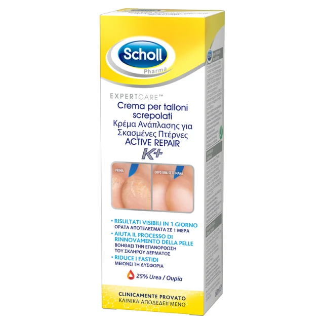 SCHOLLS CR TALLONI ACT REPAIR K+