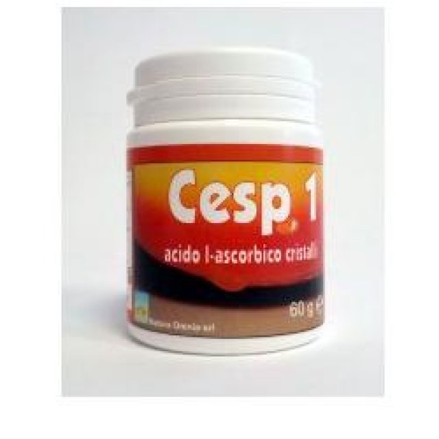 CESP1 INT POLV 60G