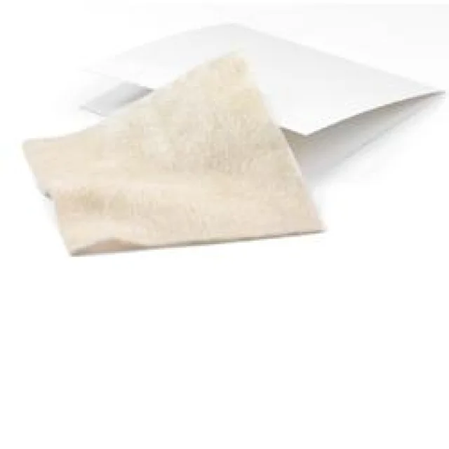 ALGISITE AG 10X10CM 10MED