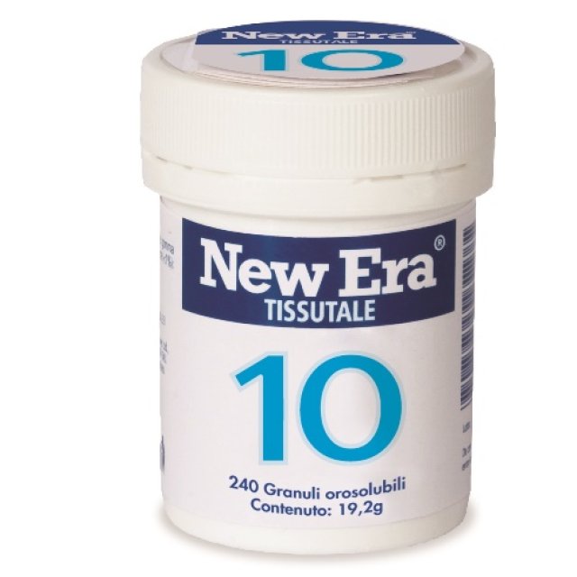 NEWERA 10 240GR