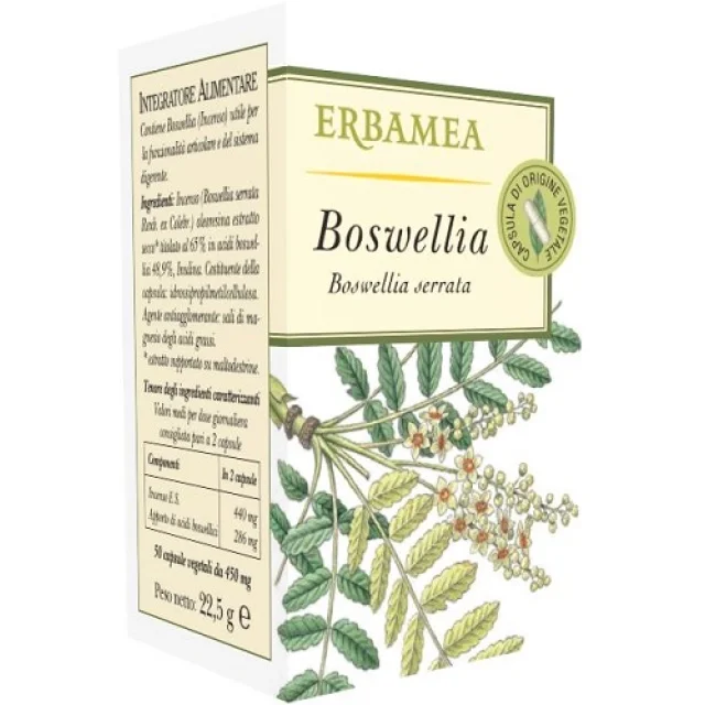 BOSWELLIA 50 Opr EBM