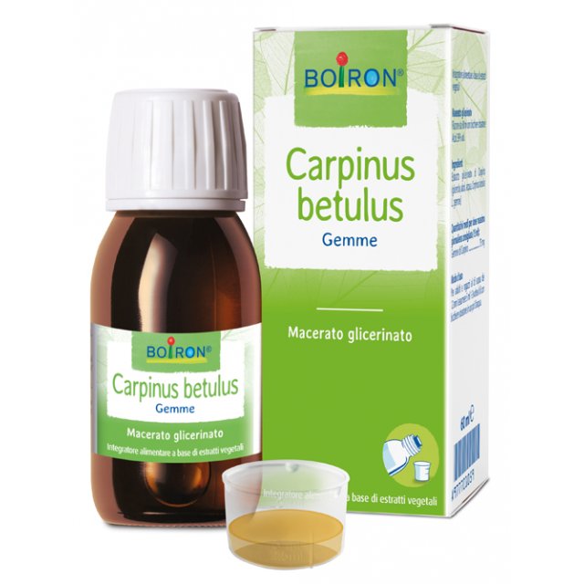 BO.CARPINUS BETULUS MG 60ML IN