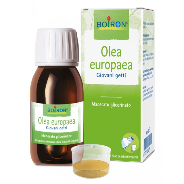 BO.OLEA EUROPAEA MG 60ML INT