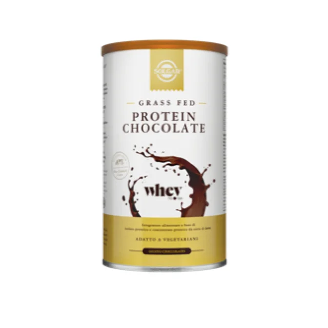 PROTEIN CHOCOLATE 377G