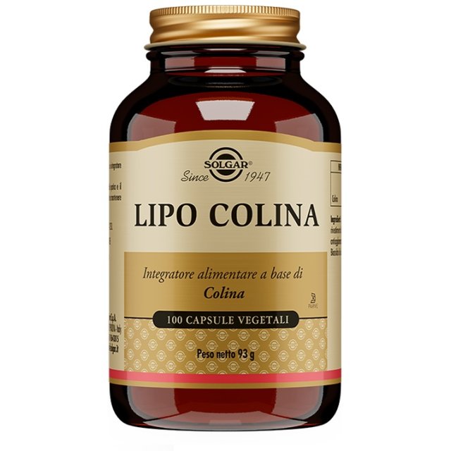 LIPO COLINA 100 Cps 100mgSOLGA