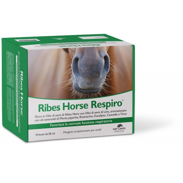 RIBES HORSE RESPIRO 10BUST