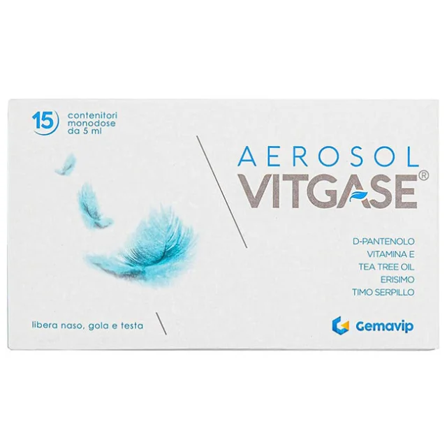 VITGASE AEROSOL 15F 25ML