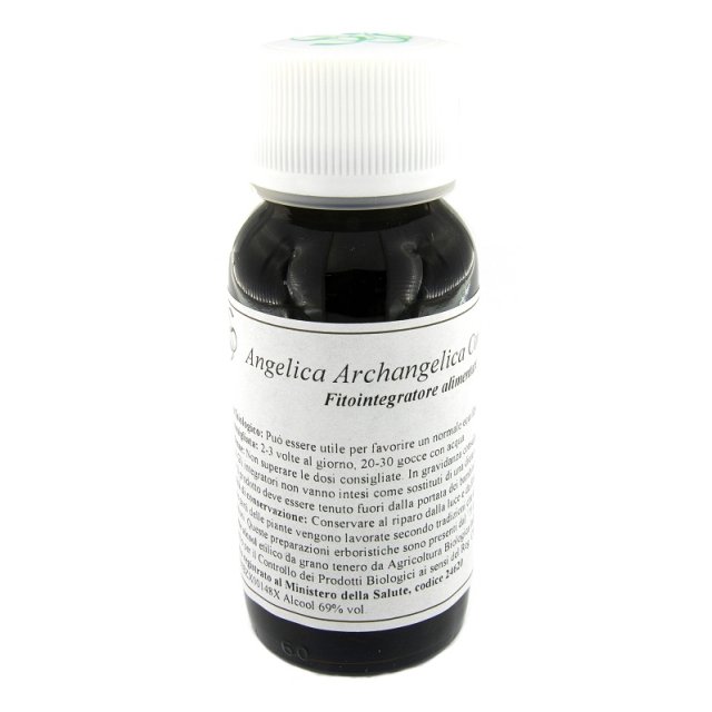 06N ANGELICA ARCHANGELICA COMP