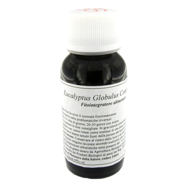 56S EUCALYPTUS GLOBULUS COMP