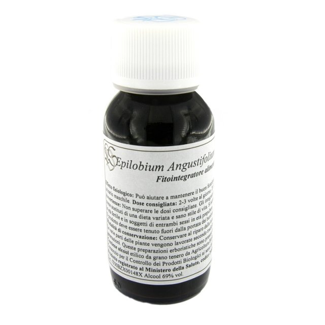 82C EPILOBIUM ANGUSTIF COMP 60