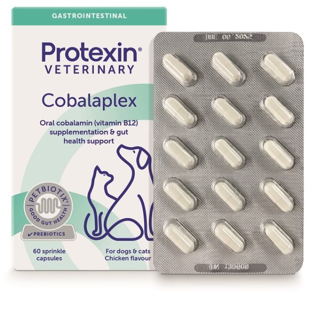 COBALAPLEX 60CPS N/F ADM PROTE