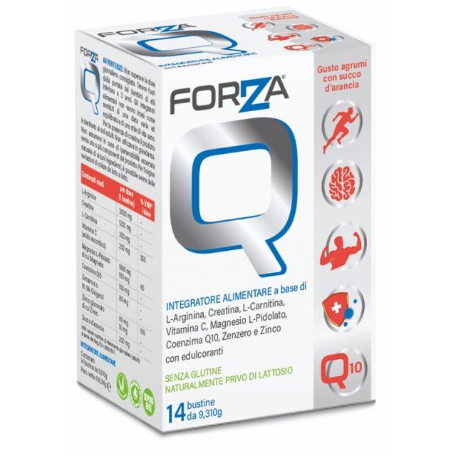 FORZA Q 14 Bust.
