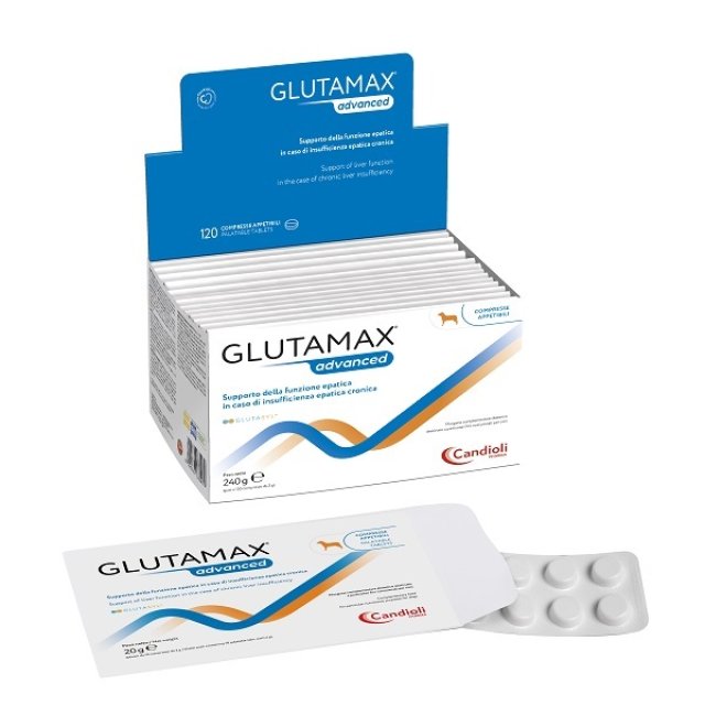 GLUTAMAX Advanced 120 Cpr